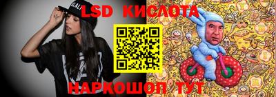 крисы Кандалакша